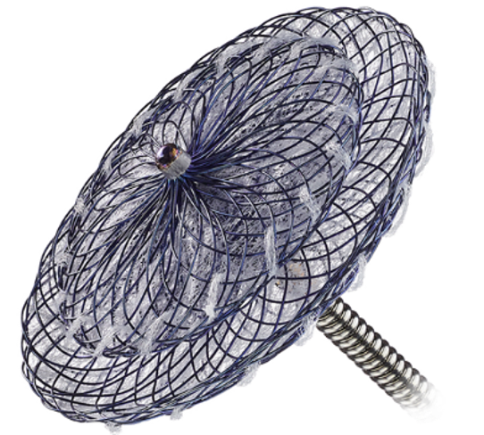 PFO2.png מוצרי Amplatzer לתיקון פגמים מבניים בלב – תמונה 1